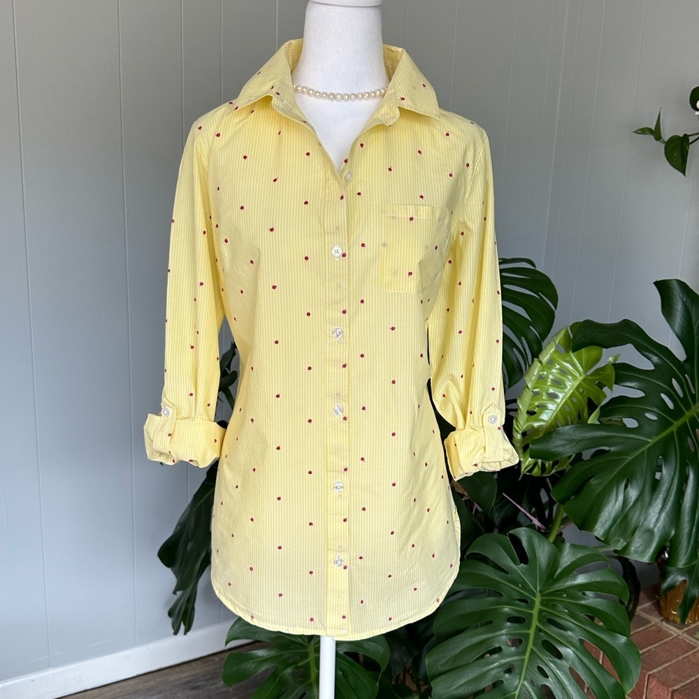 #7)  Kim Rogers 100% Cotton button down shirt with excellent condition.